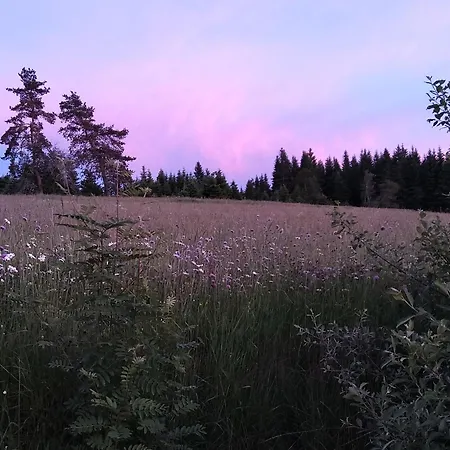 Evasion En Nature : Chambre Calme Avec Repas Bio Chez Catherine - Fr-1-582-456 Bed & Breakfast *