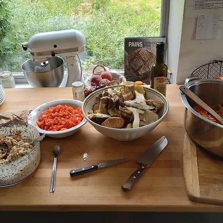 Evasion En Nature : Chambre Calme Avec Repas Bio Chez Catherine - Fr-1-582-456 *